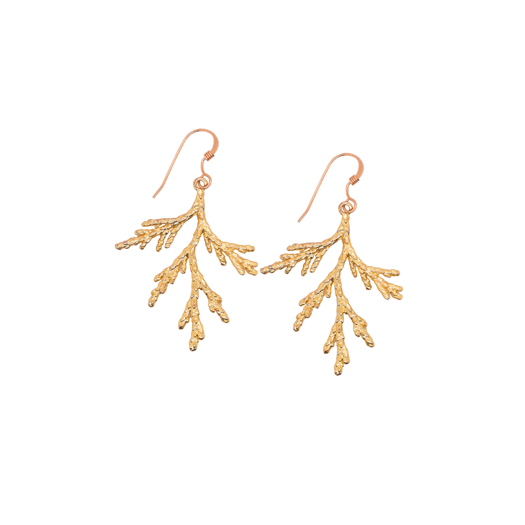 Coral 2025 branch earrings
