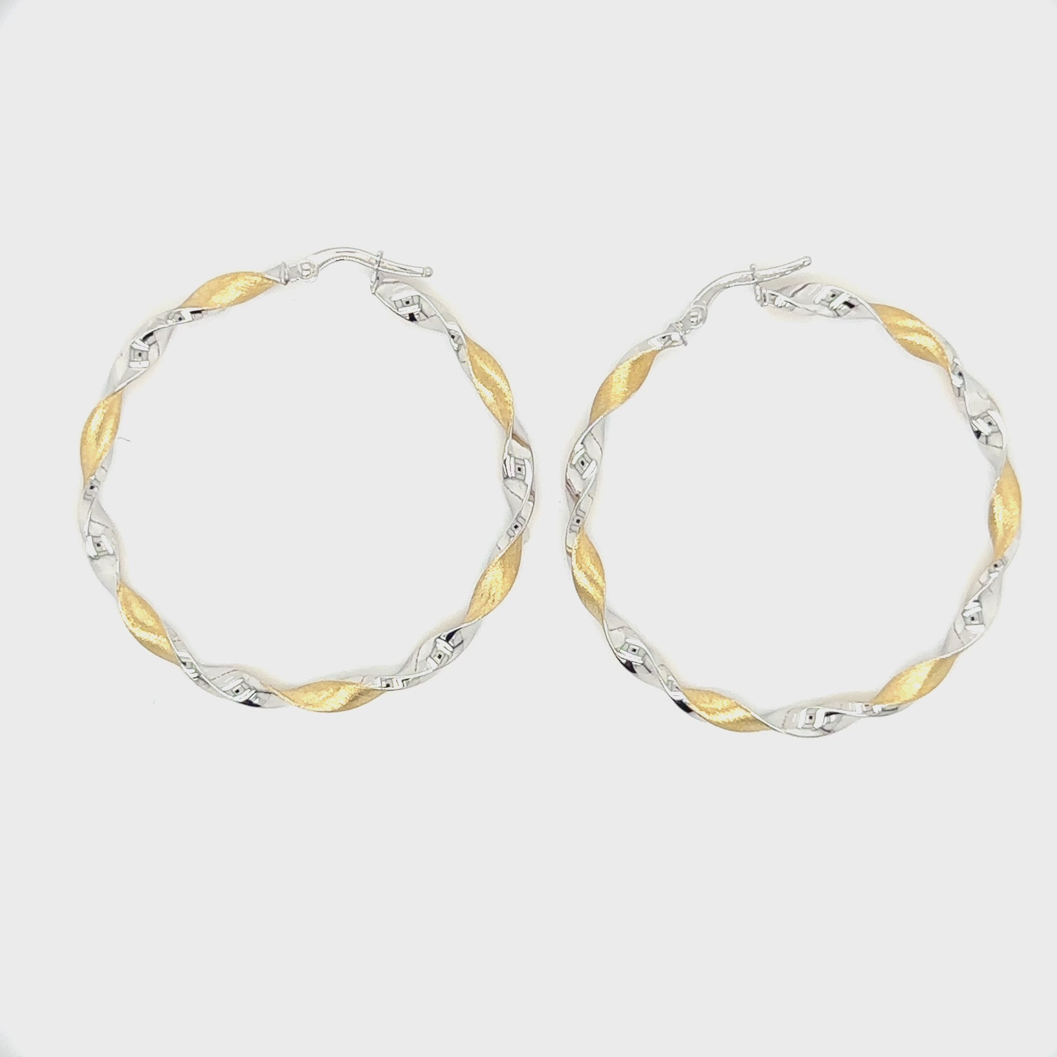 Two tone deals twisted hoop earrings